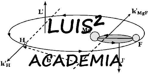 Academia Luis2